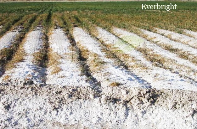 Effects of agricultural gypsum on soil salinity and PH