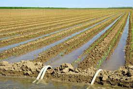 using agricultural gypsum effect on increasing irrigation efficiency