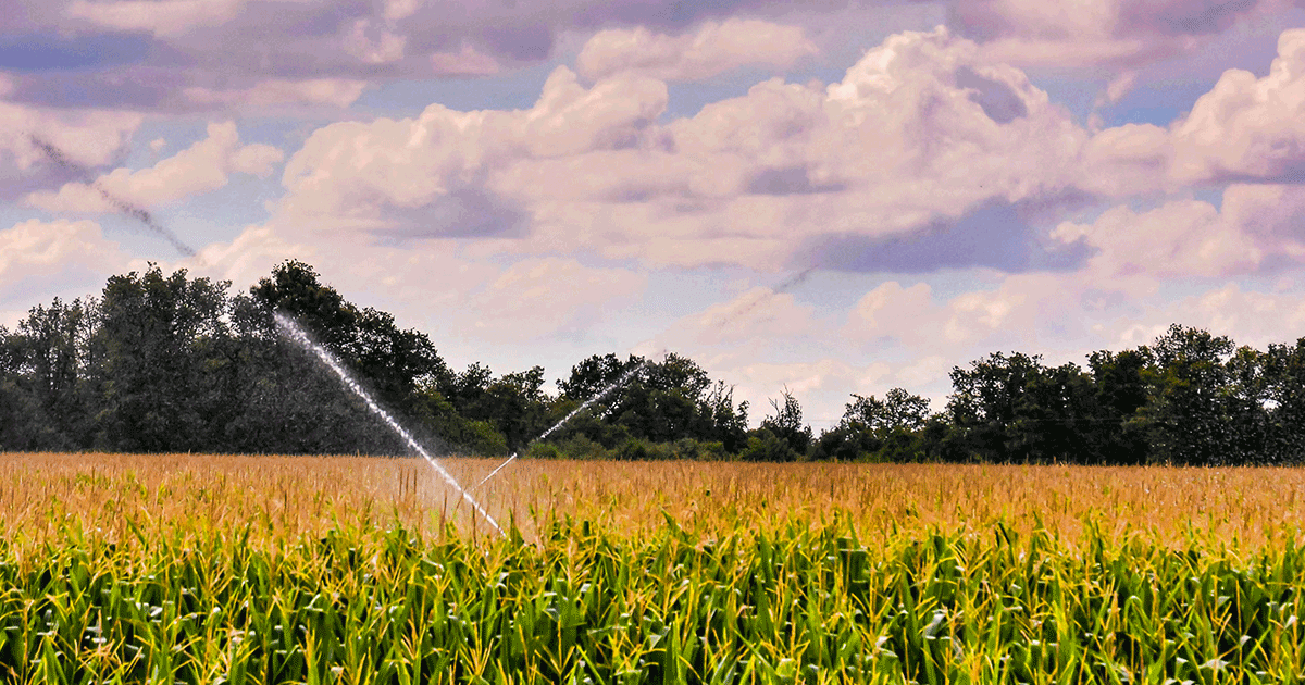 using agricultural gypsum effect on increasing irrigation efficiency