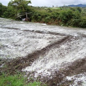 gypsum (calcium sulfate) added to the soil