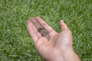 lawn care. how to use agricultural gypsum for lawn / gypsum for soil