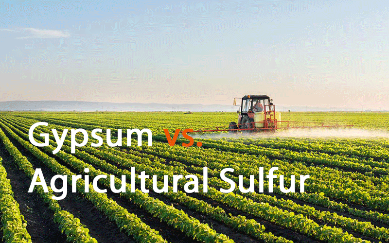 Gypsum vs. agricultural sulfur