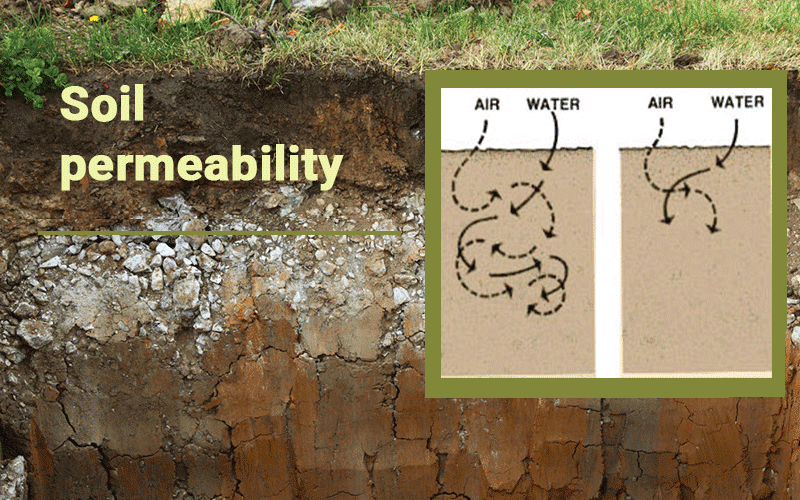 Gypsum effect on Soil permeability