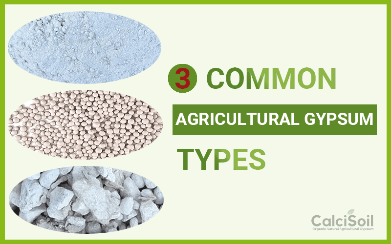 Common agricultural gypsum types